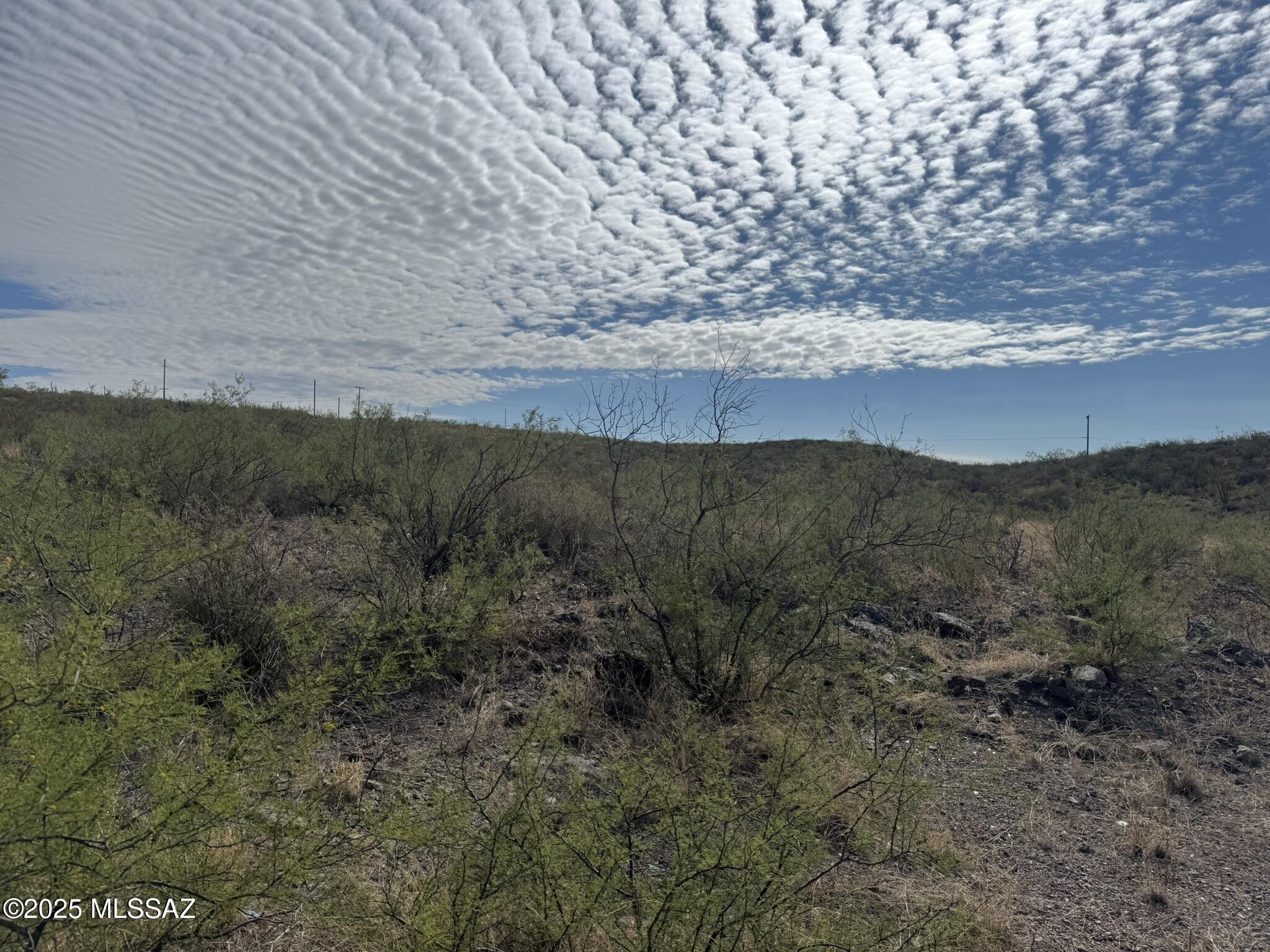 41-acres East Ridge Place, Unit 159 Tombstone, AZ 85638 - Photo 1 of 17 Gallery Image 1