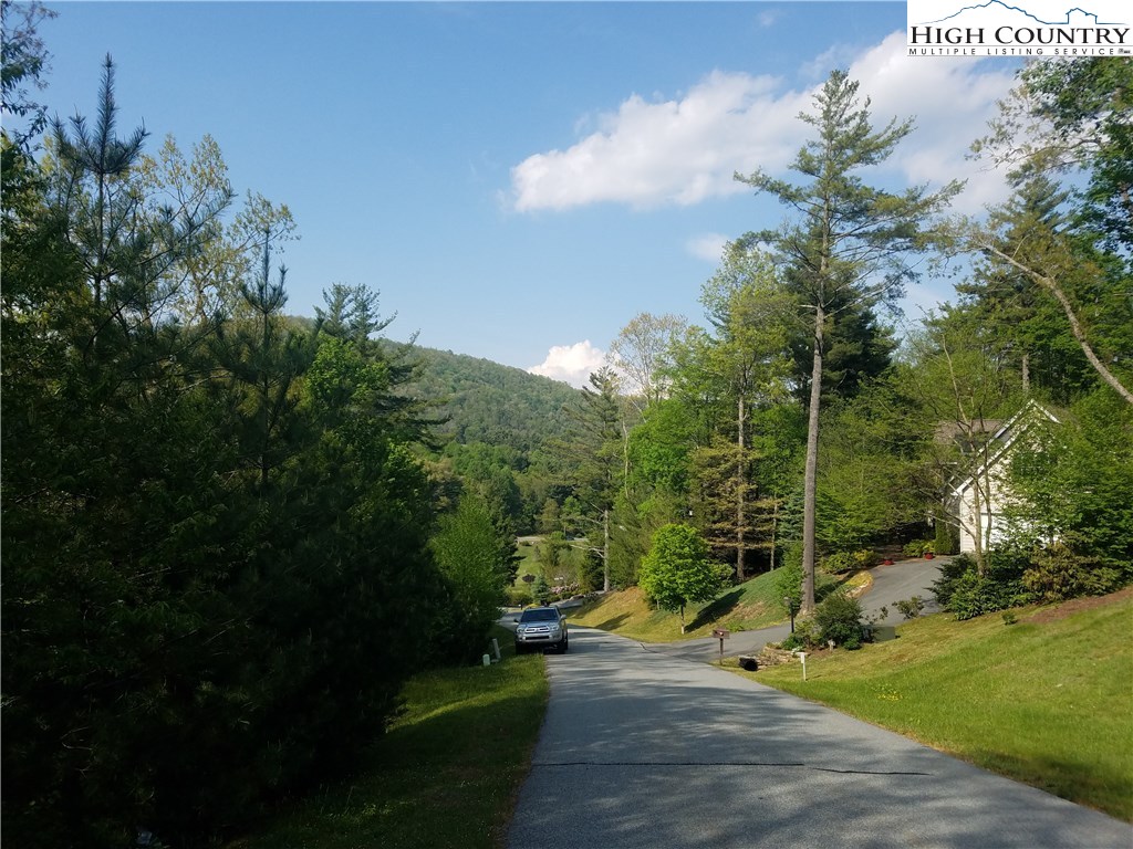 Russelton Road Boone, NC 28607 - Photo 5 of 8 a view of a park with large trees