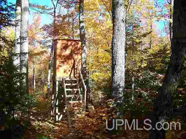 20892 Celotex Road Michigamme, MI 49861 - Photo 5 of 9