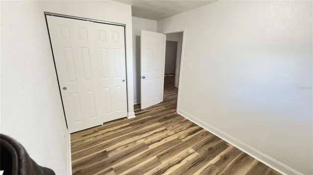 a view of a yard with plants and trees