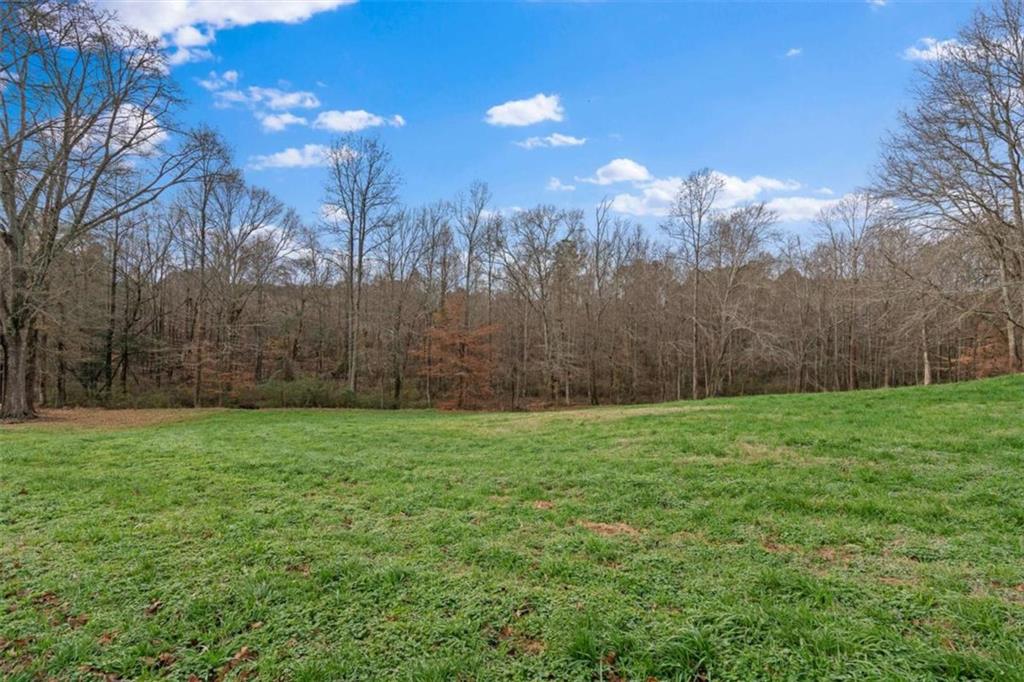 976 Salem Church Road Carrollton, GA 30117 - Photo 60 of 80 Gallery Image 60