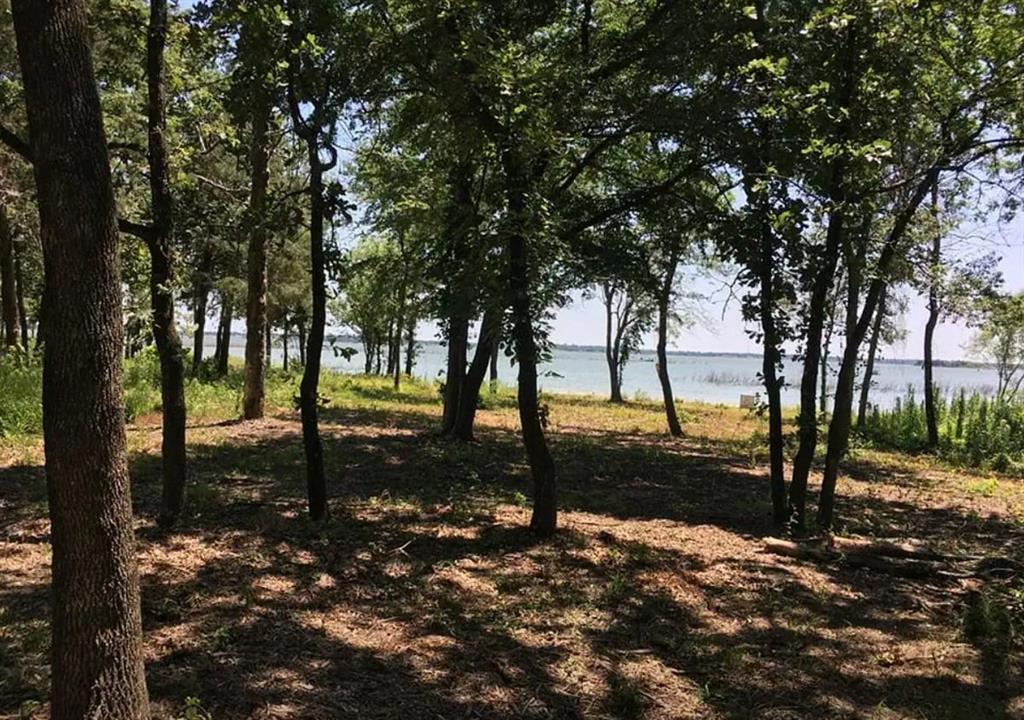 7375 Open Water Point Quinlan, TX 75474 - Photo 14 of 38 a view of road with trees