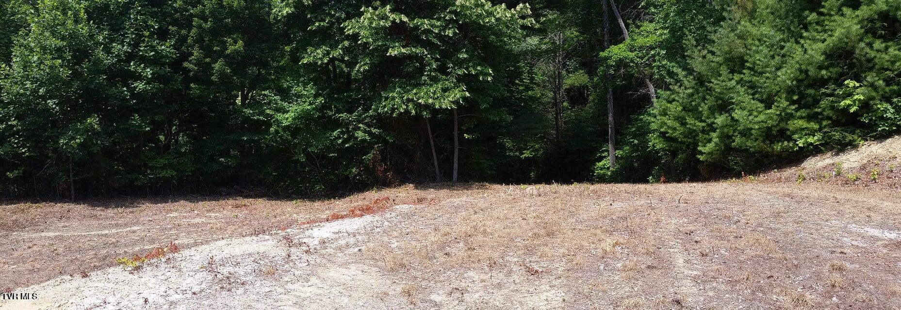 Tbd Heartwood Lane, Unit 1 Butler, TN 37640 - Photo 13 of 45 Lot 1 - 12