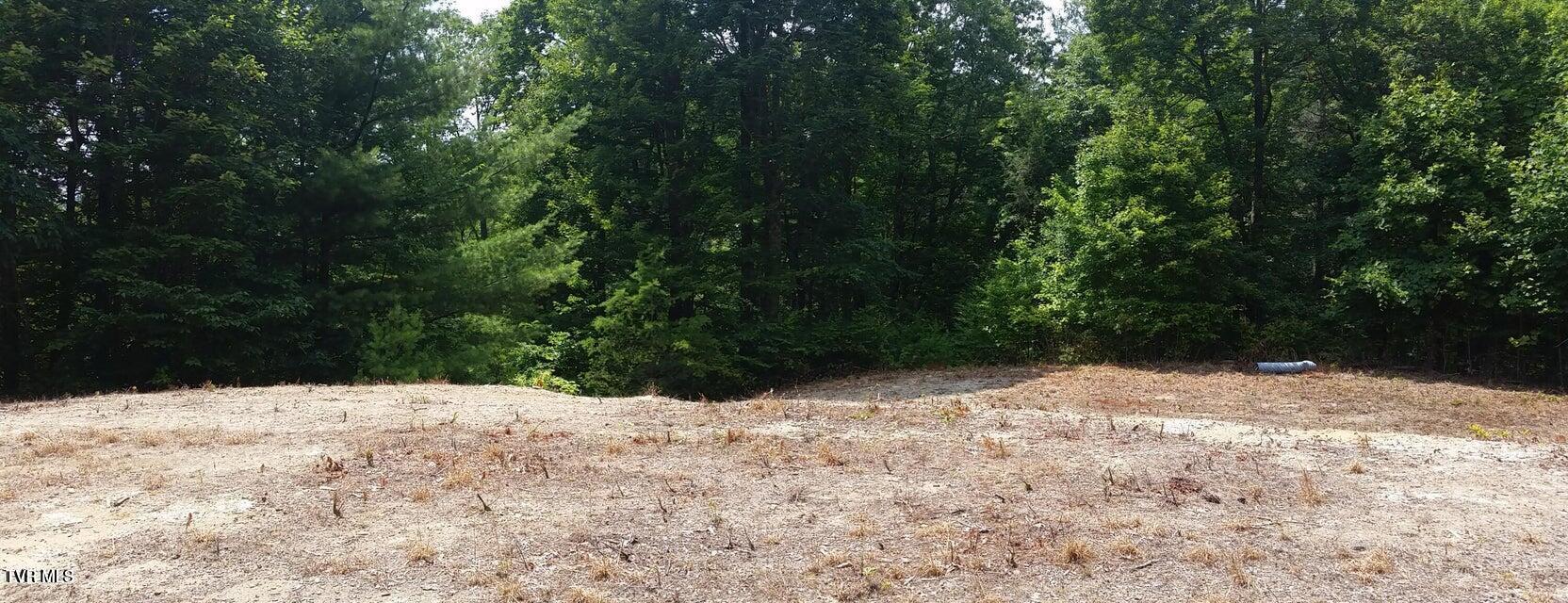 Tbd Heartwood Lane, Unit 1 Butler, TN 37640 - Photo 14 of 45 Lot 1 - 13