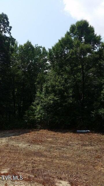 Tbd Heartwood Lane, Unit 1 Butler, TN 37640 - Photo 16 of 45 Lot 1 - 15