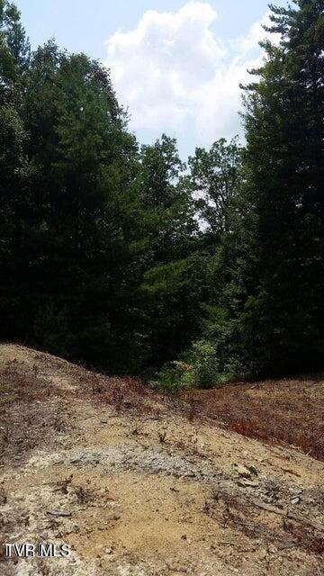 Tbd Heartwood Lane, Unit 1 Butler, TN 37640 - Photo 17 of 45 Lot 1 - 16