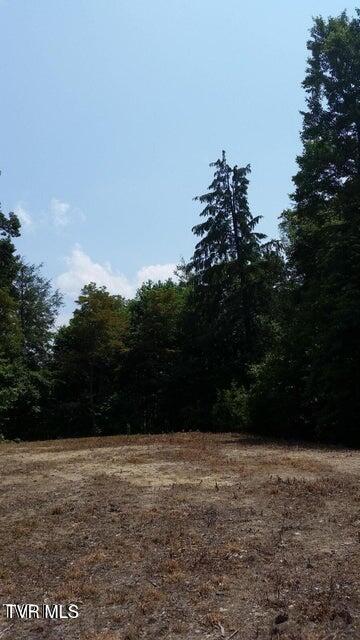 Tbd Heartwood Lane, Unit 1 Butler, TN 37640 - Photo 18 of 45 Lot 1 - 17