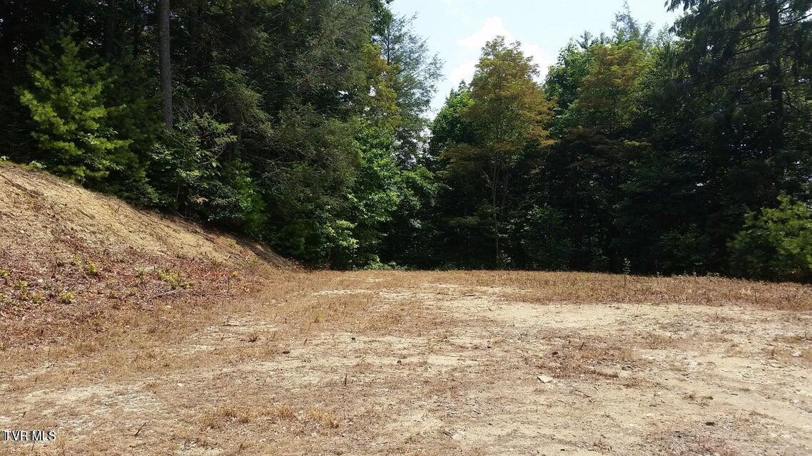 Tbd Heartwood Lane, Unit 1 Butler, TN 37640 - Photo 2 of 45 Lot 1 - 1