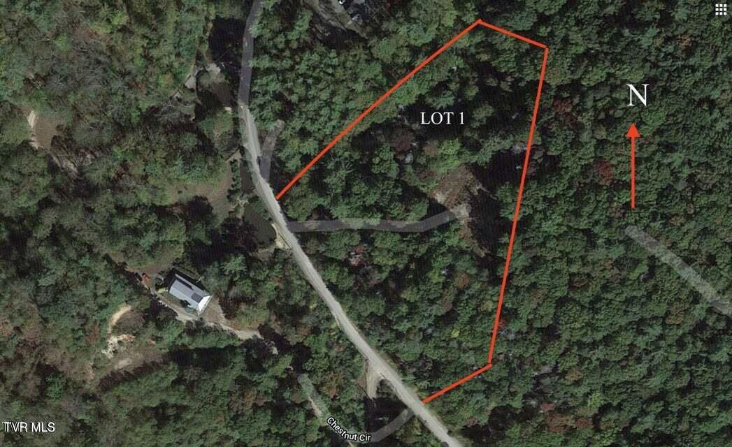 Tbd Heartwood Lane, Unit 1 Butler, TN 37640 - Photo 24 of 45 Lot 1 - 23