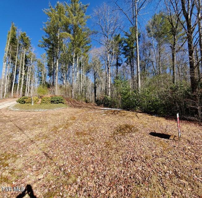 Tbd Heartwood Lane, Unit 1 Butler, TN 37640 - Photo 25 of 45 Lot 1 - 24