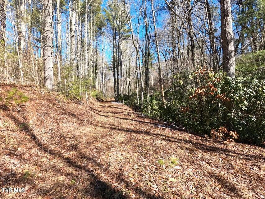 Tbd Heartwood Lane, Unit 1 Butler, TN 37640 - Photo 26 of 45 Lot 1 - 26