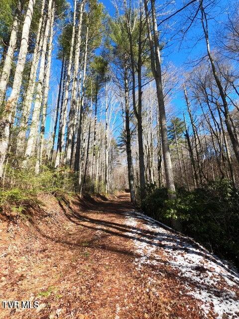 Tbd Heartwood Lane, Unit 1 Butler, TN 37640 - Photo 27 of 45 Lot 1 - 27