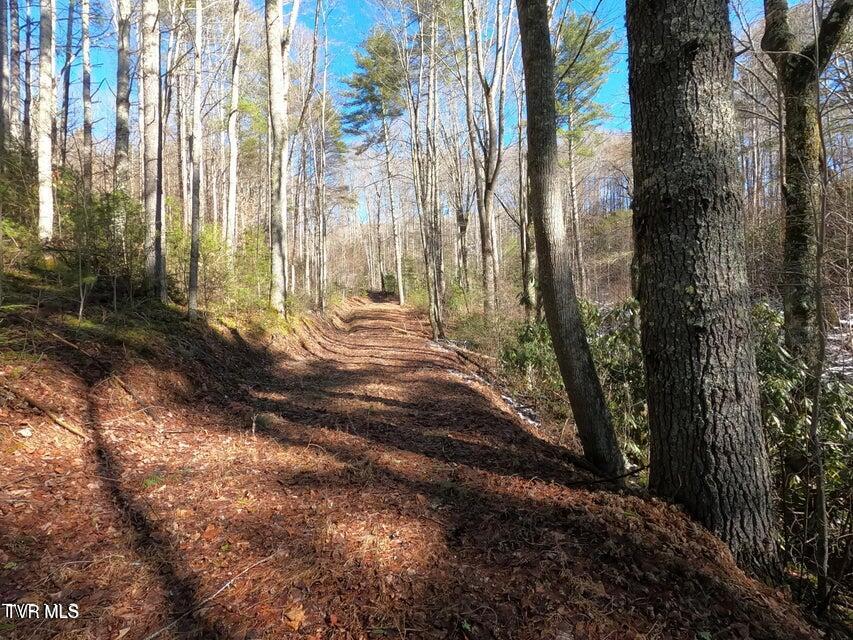 Tbd Heartwood Lane, Unit 1 Butler, TN 37640 - Photo 28 of 45 Lot 1 - 28