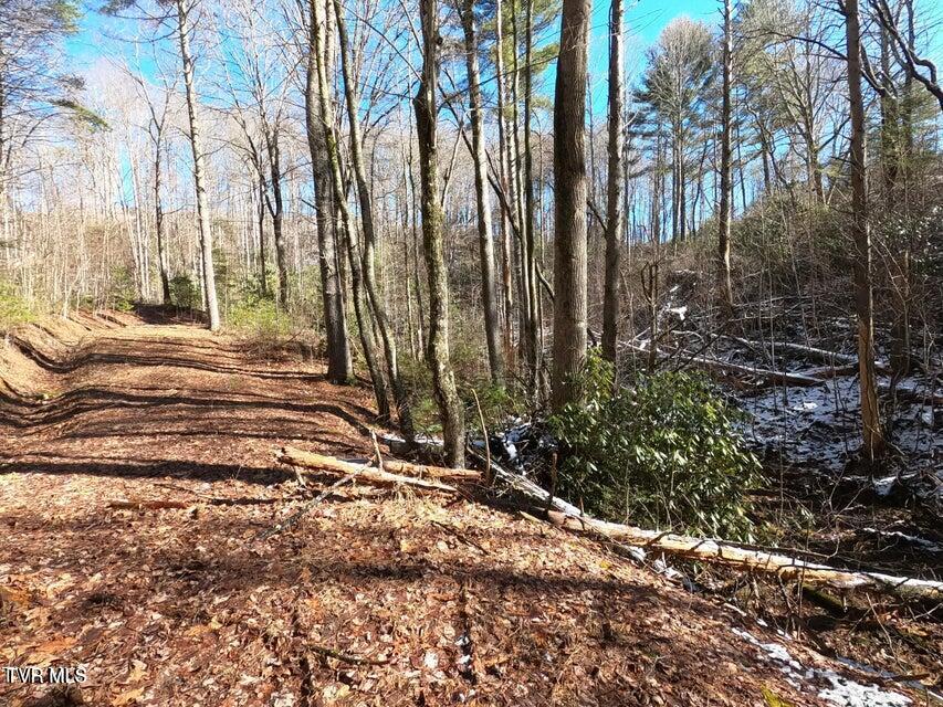 Tbd Heartwood Lane, Unit 1 Butler, TN 37640 - Photo 29 of 45 Lot 1 - 29