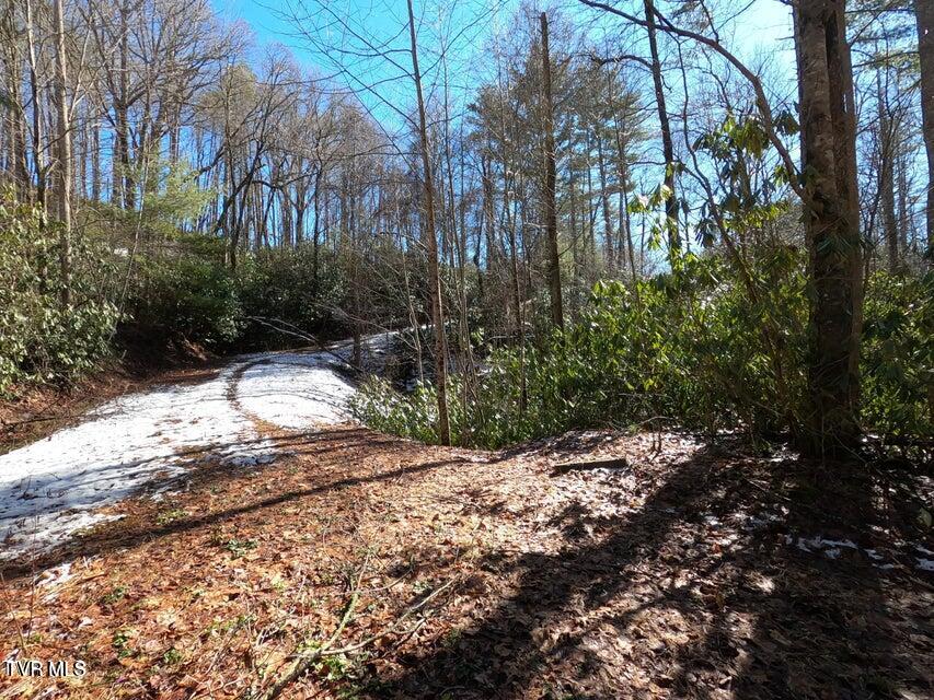 Tbd Heartwood Lane, Unit 1 Butler, TN 37640 - Photo 30 of 45 Lot 1 - 30