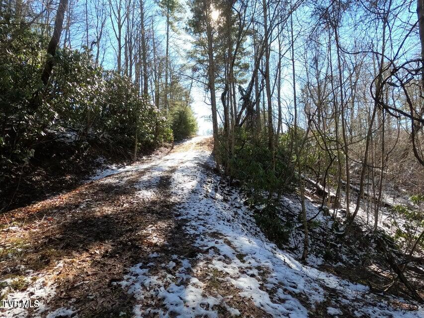 Tbd Heartwood Lane, Unit 1 Butler, TN 37640 - Photo 31 of 45 Lot 1 - 31