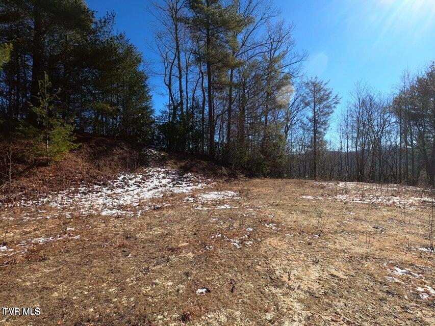 Tbd Heartwood Lane, Unit 1 Butler, TN 37640 - Photo 32 of 45 Lot 1 - 32