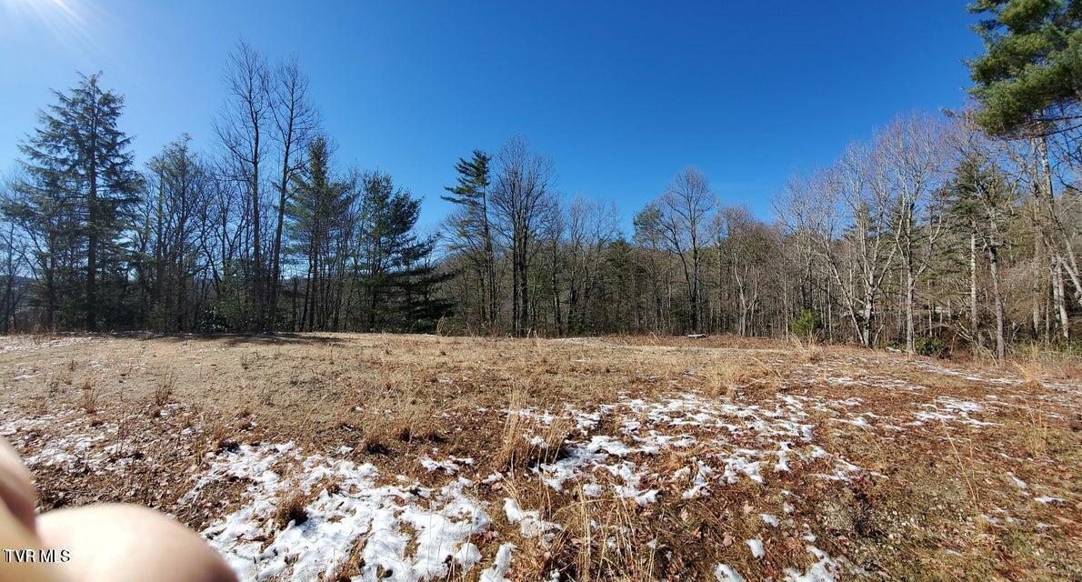 Tbd Heartwood Lane, Unit 1 Butler, TN 37640 - Photo 33 of 45 Lot 1 - 33