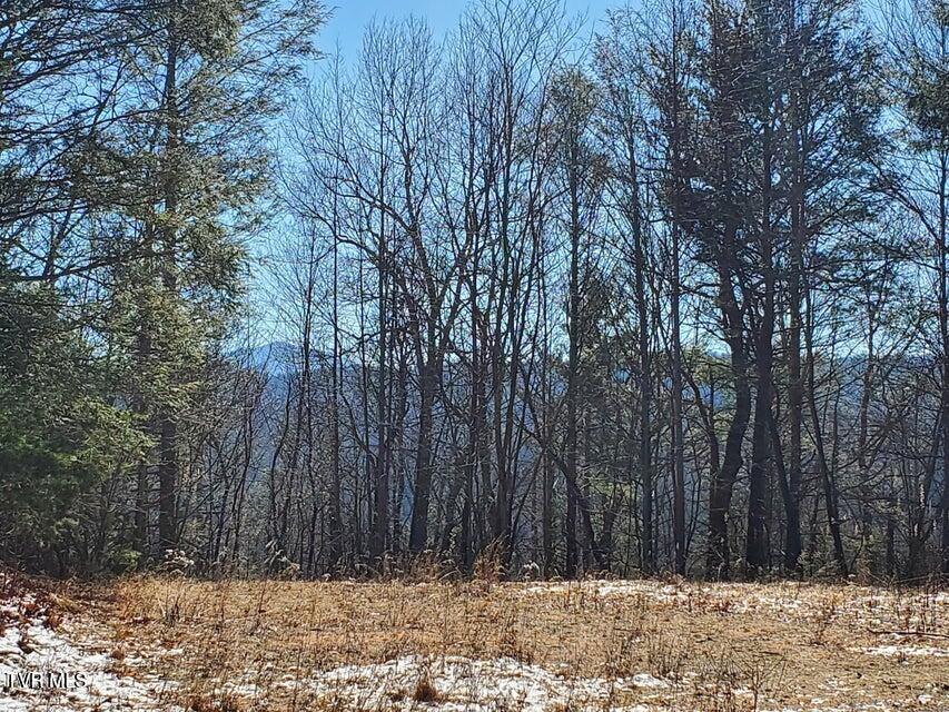 Tbd Heartwood Lane, Unit 1 Butler, TN 37640 - Photo 34 of 45 Lot 1 - 34