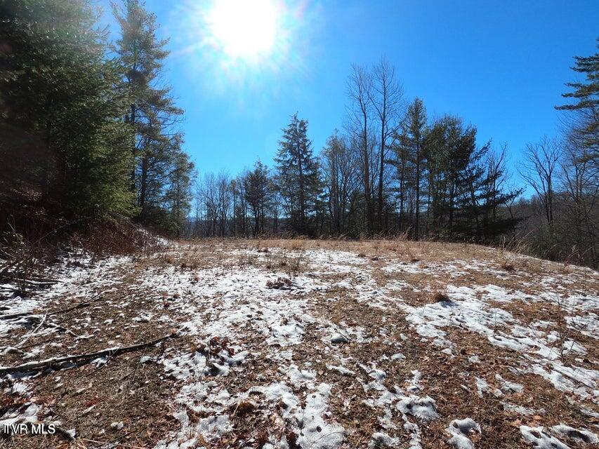 Tbd Heartwood Lane, Unit 1 Butler, TN 37640 - Photo 35 of 45 Lot 1 - 35
