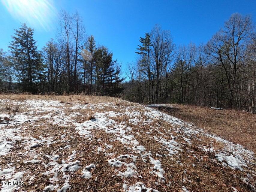 Tbd Heartwood Lane, Unit 1 Butler, TN 37640 - Photo 36 of 45 Lot 1 - 36