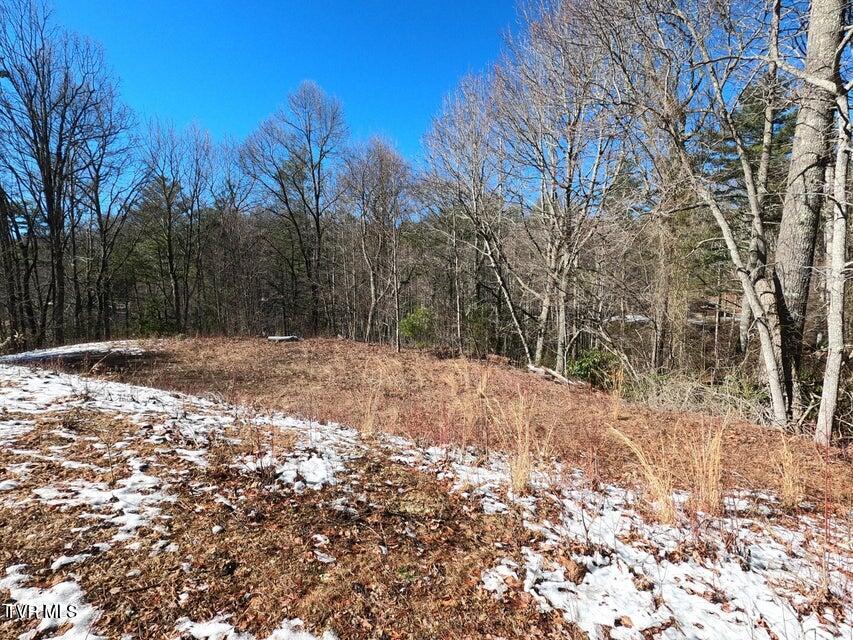 Tbd Heartwood Lane, Unit 1 Butler, TN 37640 - Photo 37 of 45 Lot 1 - 37