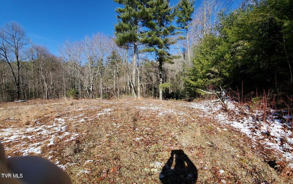 Tbd Heartwood Lane, Unit 1 Butler, TN 37640 - Photo 38 of 45 Lot 1 - 38
