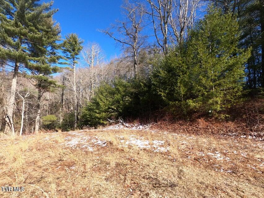 Tbd Heartwood Lane, Unit 1 Butler, TN 37640 - Photo 39 of 45 Lot 1 - 39