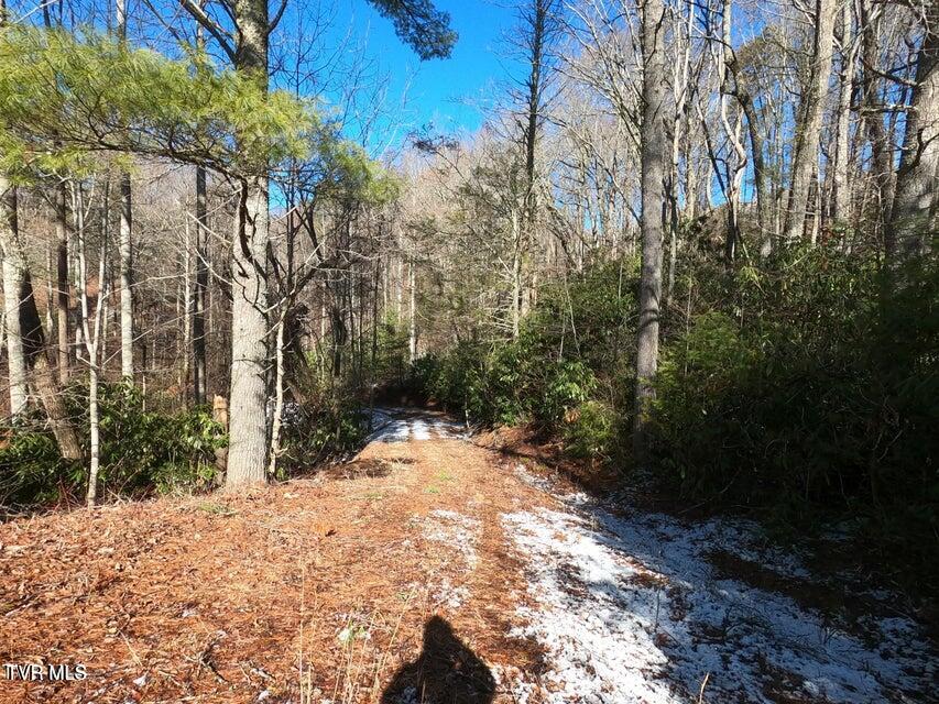 Tbd Heartwood Lane, Unit 1 Butler, TN 37640 - Photo 40 of 45 Lot 1 - 40