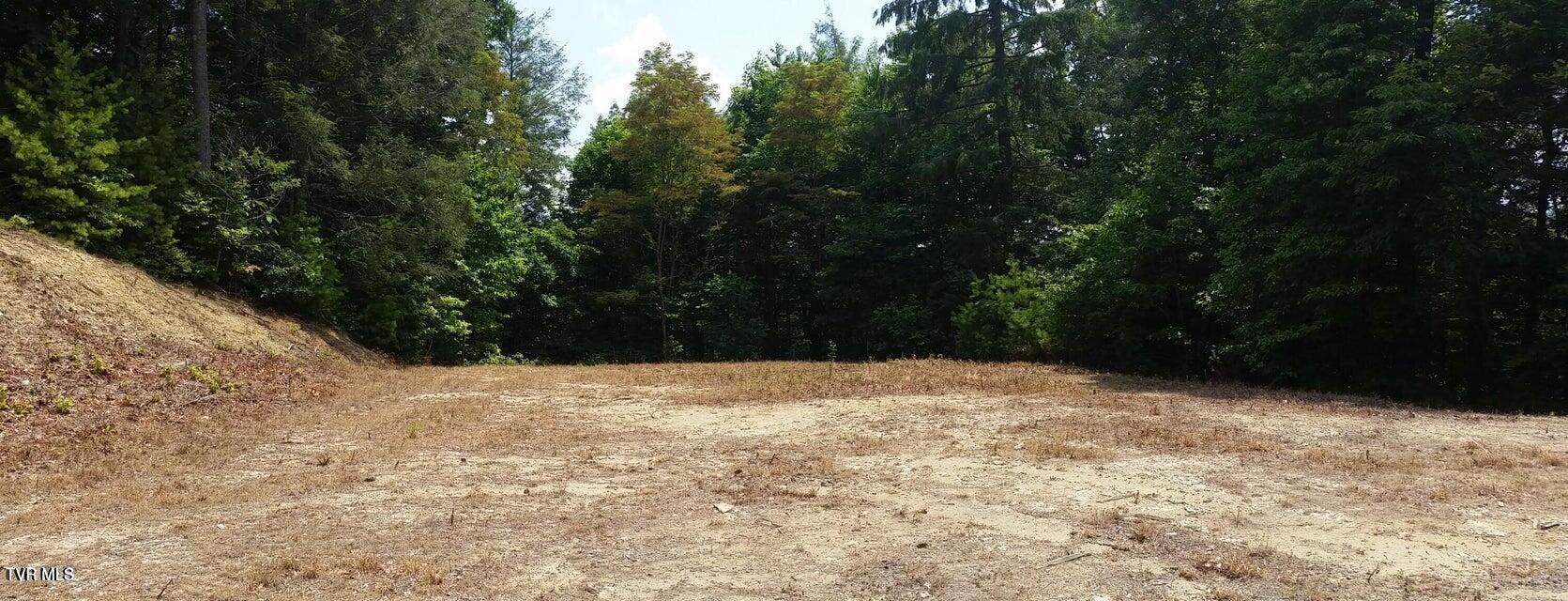Tbd Heartwood Lane, Unit 1 Butler, TN 37640 - Photo 4 of 45 Lot 1 - 3