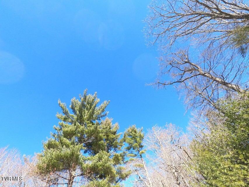 Tbd Heartwood Lane, Unit 1 Butler, TN 37640 - Photo 41 of 45 Lot 1 - 41