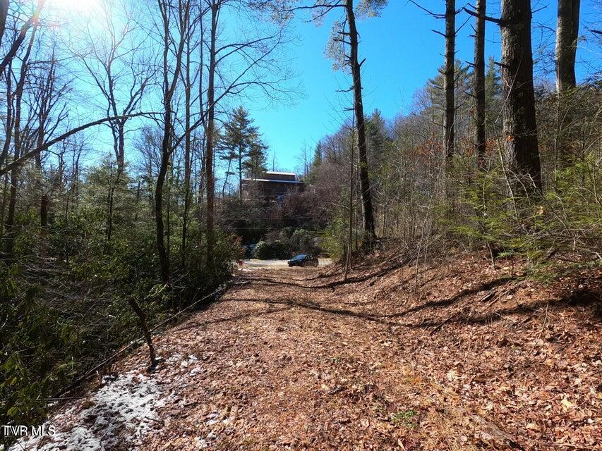 Tbd Heartwood Lane, Unit 1 Butler, TN 37640 - Photo 42 of 45 Lot 1 - 42