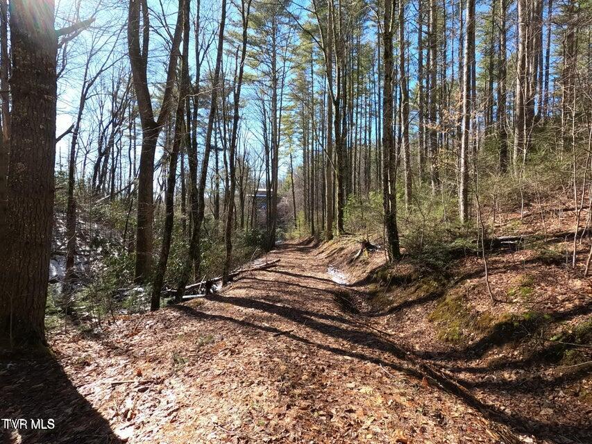 Tbd Heartwood Lane, Unit 1 Butler, TN 37640 - Photo 43 of 45 Lot 1 - 43
