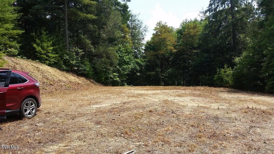 Tbd Heartwood Lane, Unit 1 Butler, TN 37640 - Photo 5 of 45 Lot 1 - 4