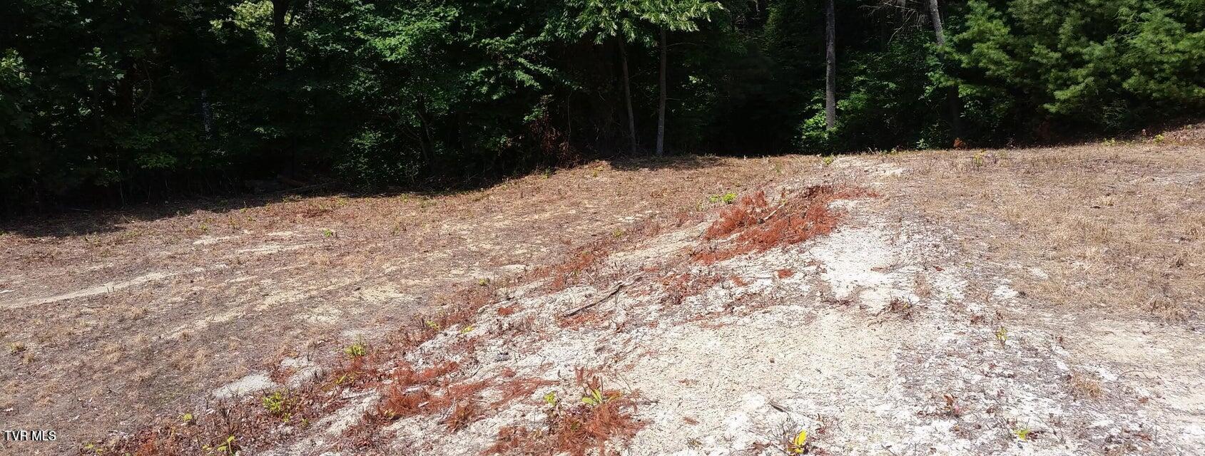Tbd Heartwood Lane, Unit 1 Butler, TN 37640 - Photo 6 of 45 Lot 1 - 5