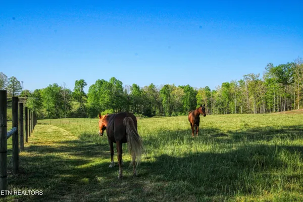 $795,000 | 147 Akers Chapel Loop, Jamestown, TN 38556
