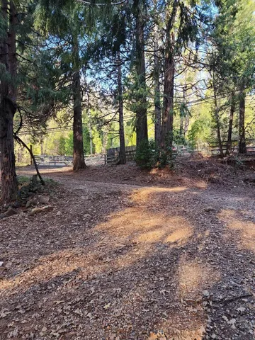 a view of a yard with tree s