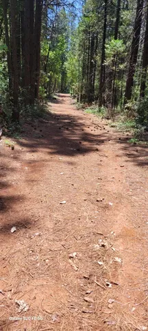 a view of an ocean beach