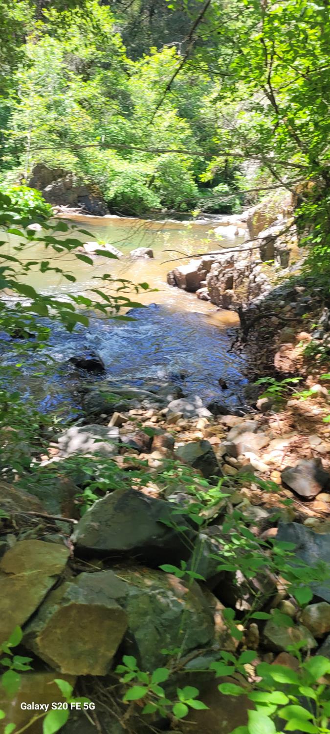 9246 La Porte Road Brownsville, CA 95919 - Photo 12 of 16 a view of a lake from a yard
