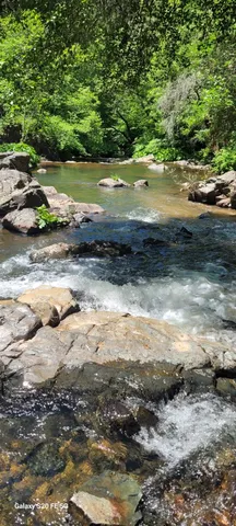 a view of swimming pool with a yard