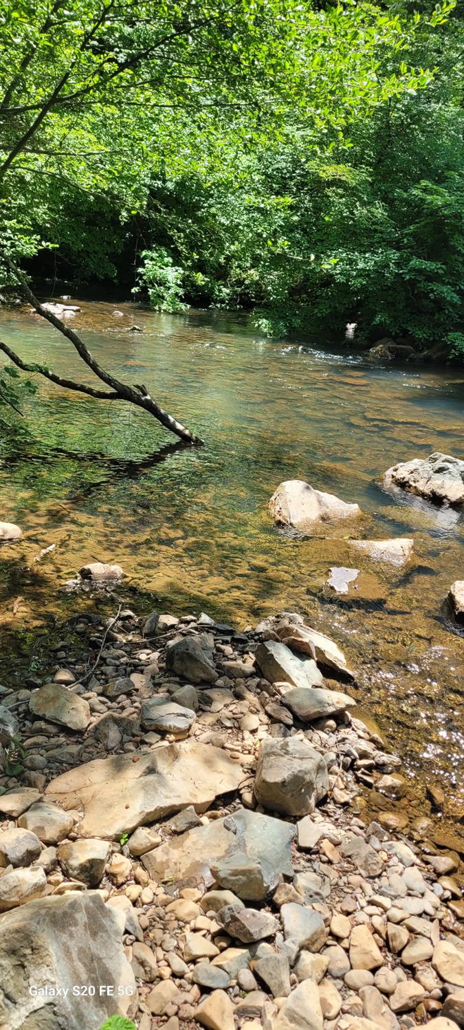 9246 La Porte Road Brownsville, CA 95919 - Photo 15 of 16 a view of a lake view