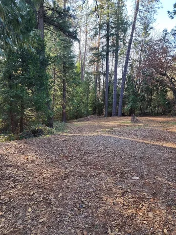a view of outdoor space with trees