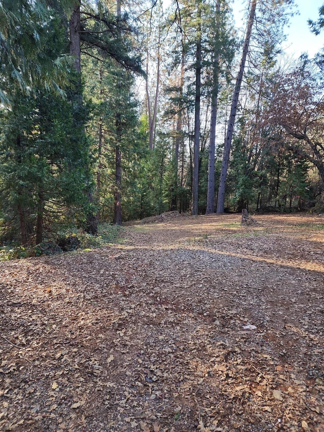 9246 La Porte Road Brownsville, CA 95919 - Photo 2 of 16 a view of outdoor space with trees