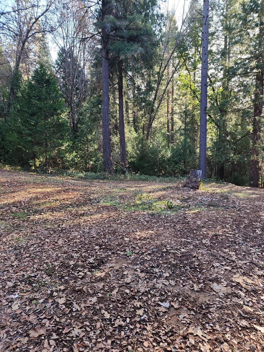 9246 La Porte Road Brownsville, CA 95919 - Photo 5 of 16