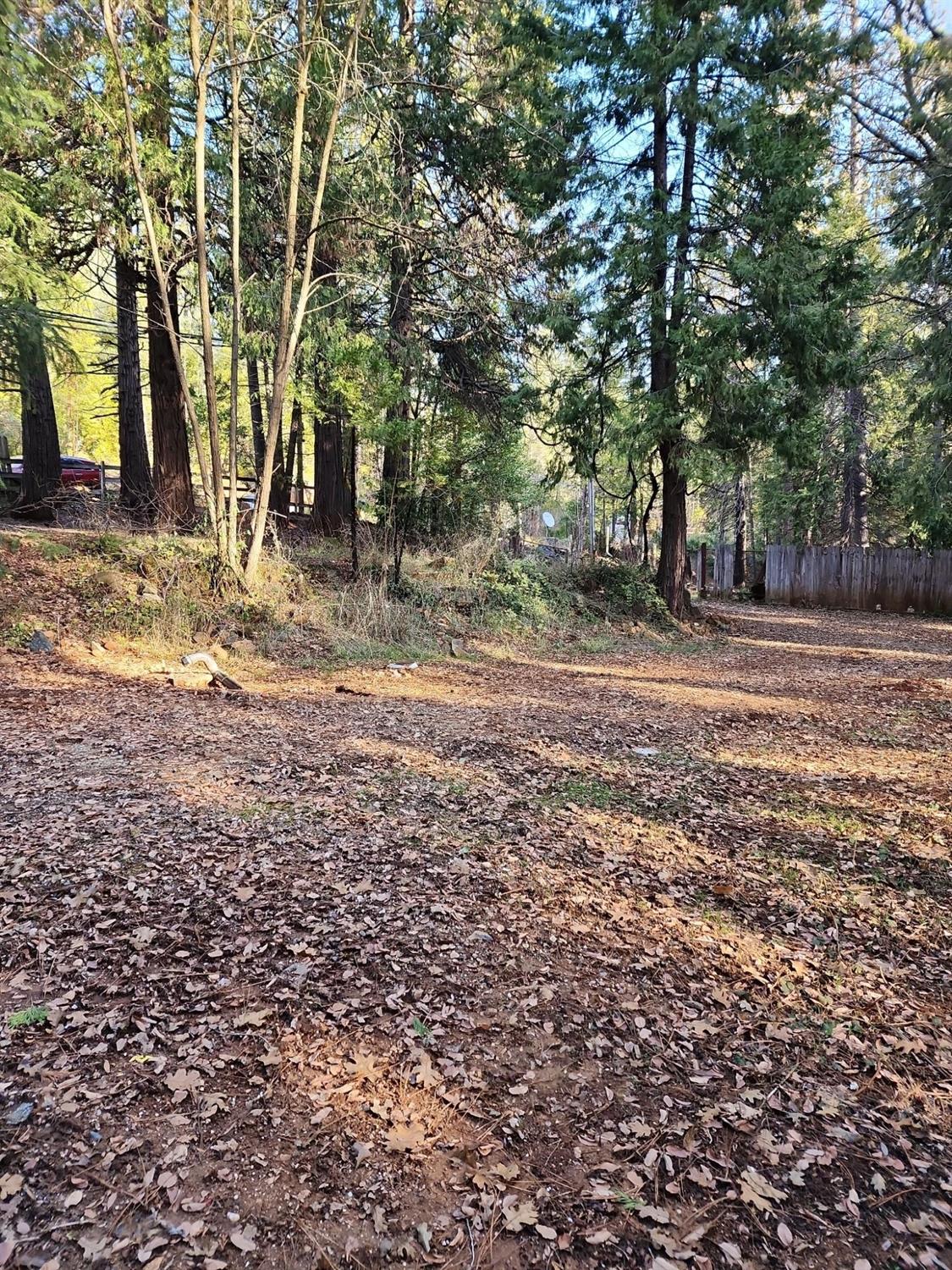 9246 La Porte Road Brownsville, CA 95919 - Photo 7 of 16 a view of a backyard with large trees