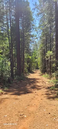 a view of a backyard of the house