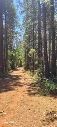 a view of a lake from a yard