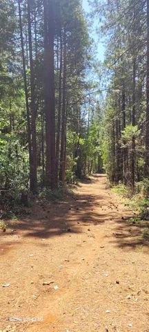 a view of a ocean with beach