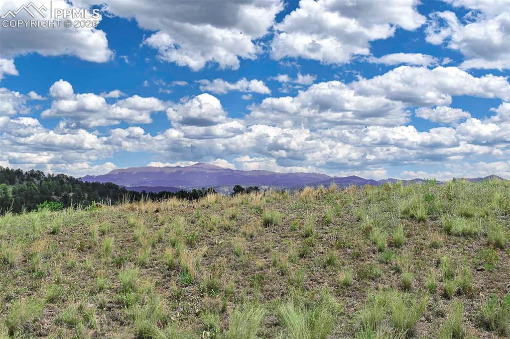 4680 County Road 71 Guffey, CO 80820 - Photo 1 of 15