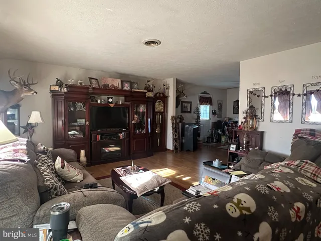 a living room with furniture and a couch